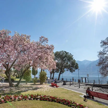 Residenza Moro By Interhome Apartment Ascona